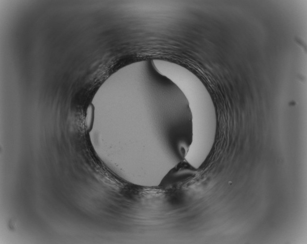 X0000096480617200802211216