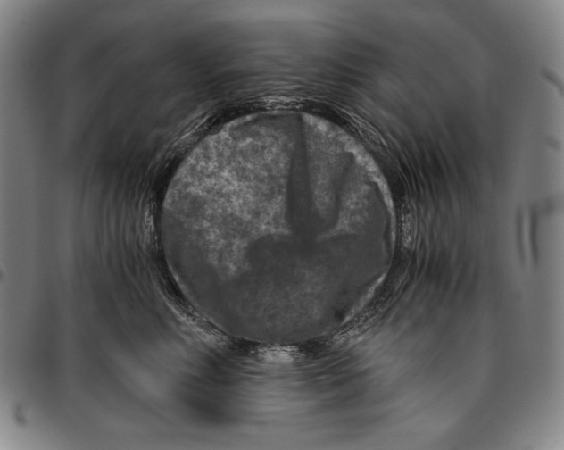 X0000096480618200802211216