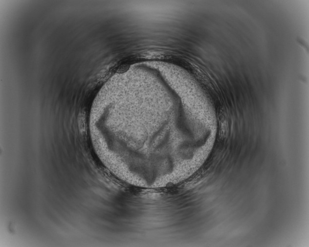 X0000096480620200802211216