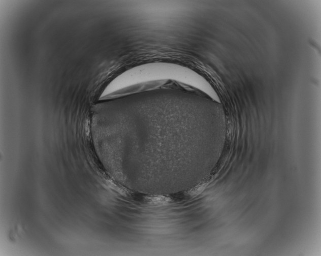 X0000096480621200802211216