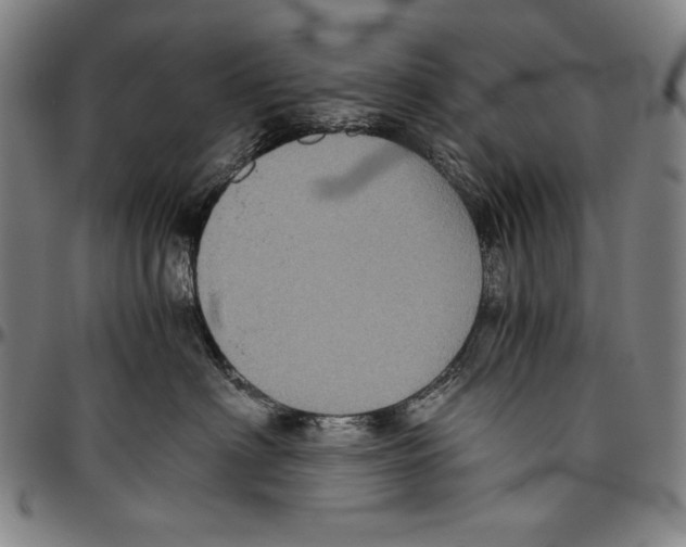 X0000096480622200802211216
