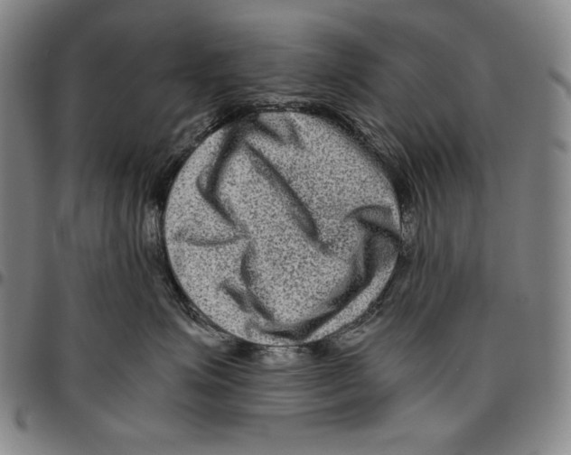 X0000096480623200802211216