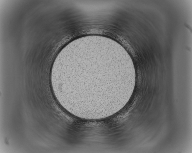 X0000096480625200802211215