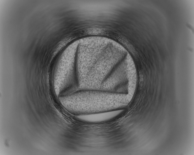 X0000096480626200802211215