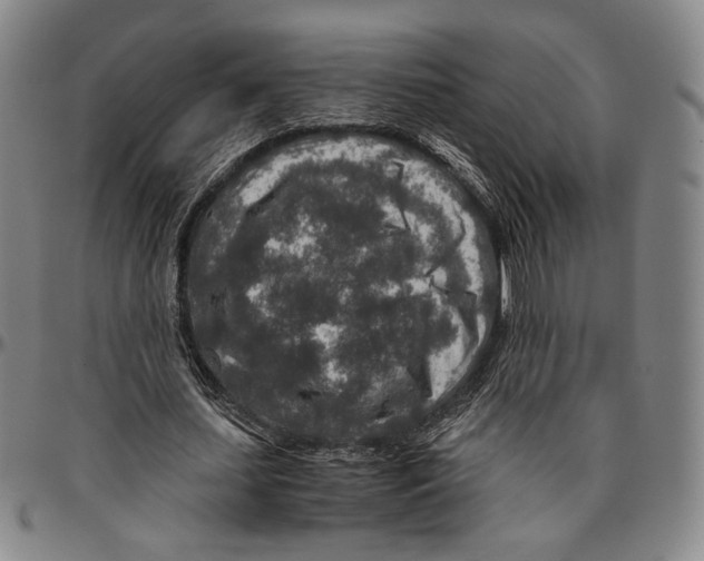 X0000096480627200802211215