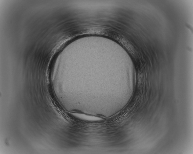 X0000096480628200802211215
