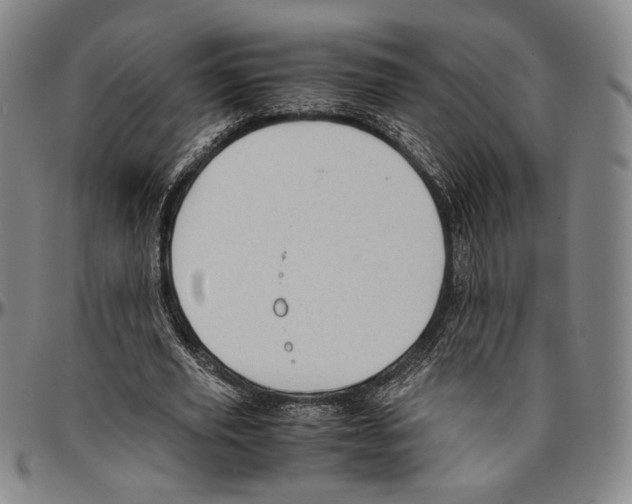 X0000096480629200802211215