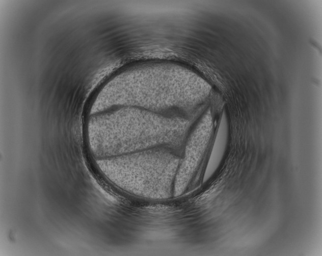 X0000096480630200802211215