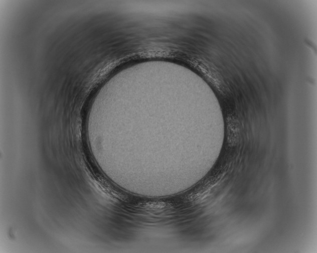 X0000096480631200802211215
