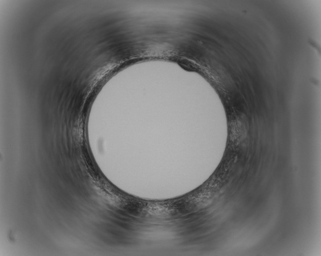 X0000096480632200802211215