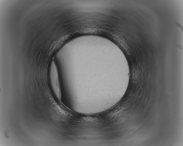 X0000096480633200802211215