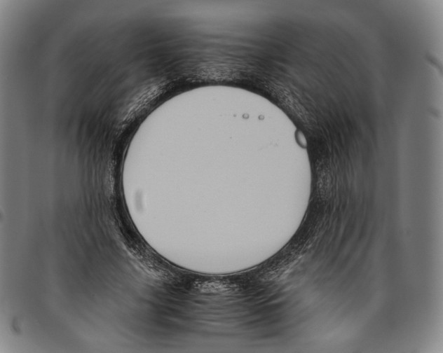 X0000096480635200802211215