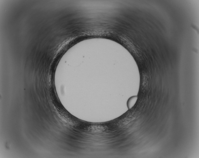 X0000096480636200802211215