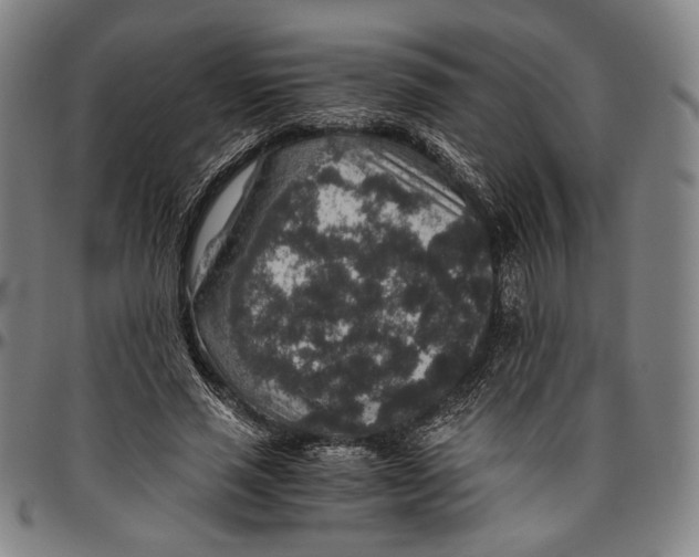 X0000096480637200802211215