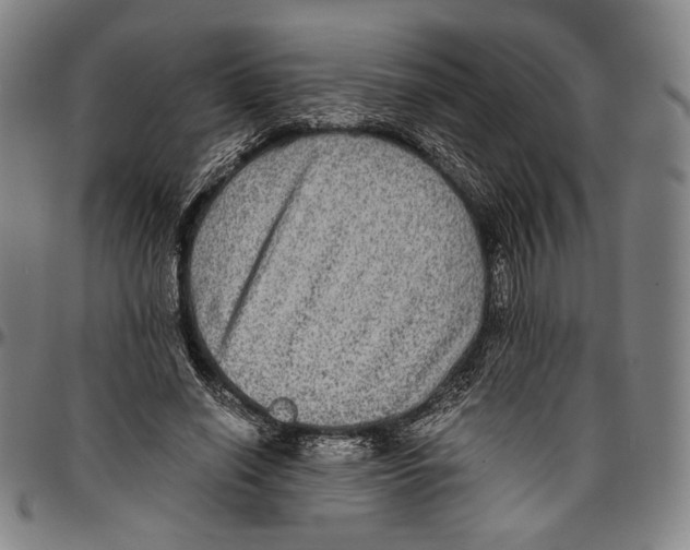 X0000096480638200802211215