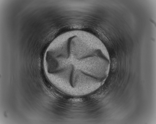 X0000096480639200802211215