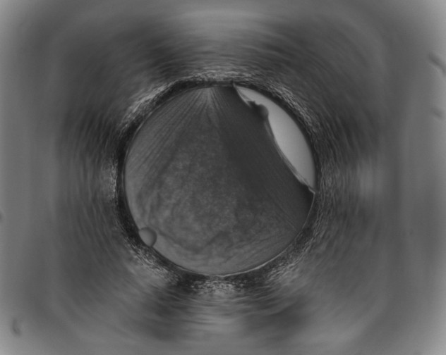 X0000096480640200802211215