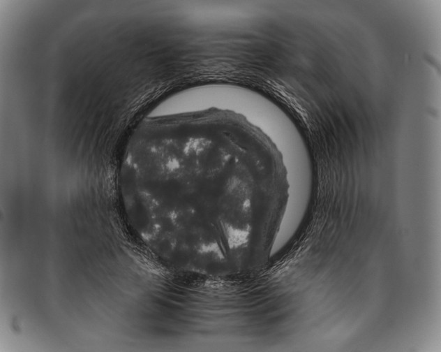 X0000096480641200802211215