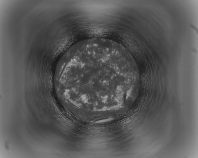 X0000096480642200802211215