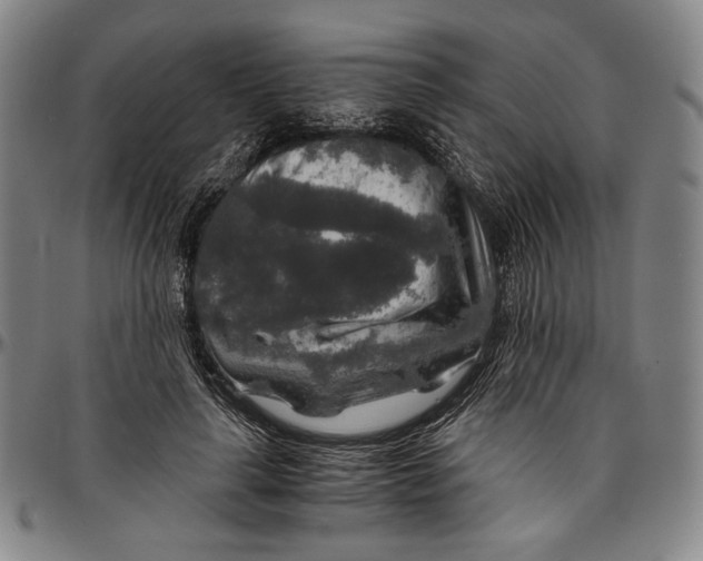 X0000096480643200802211215