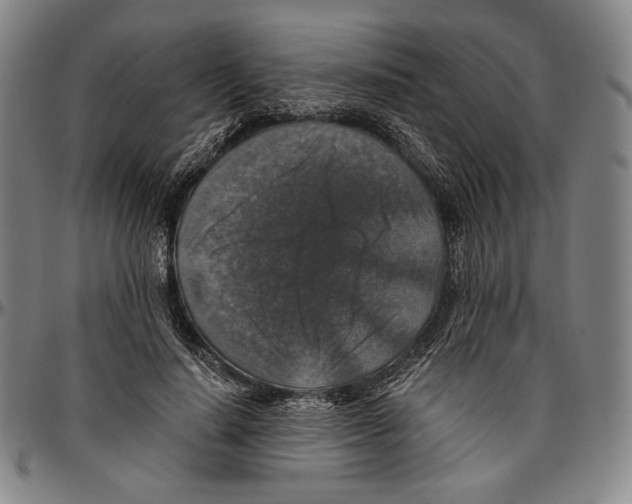X0000096480644200802211215