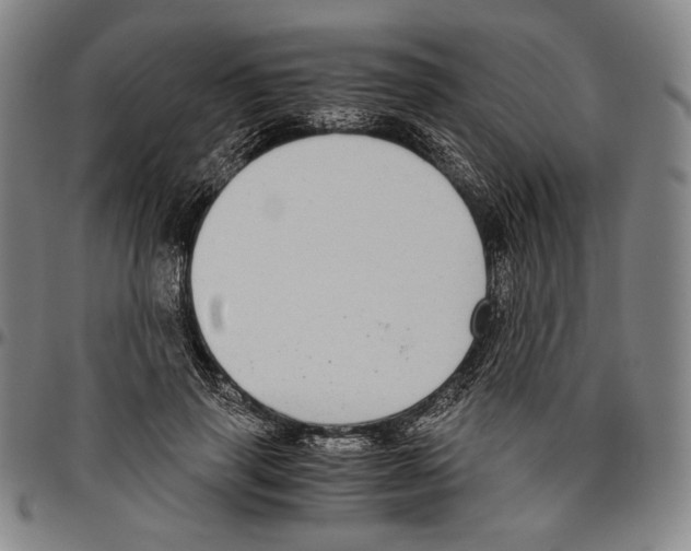 X0000096480645200802211215