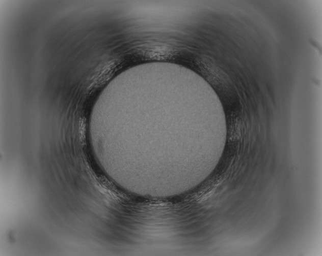 X0000096480646200802211215