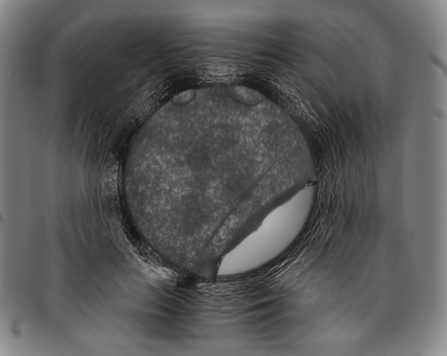 X0000096480647200802211215