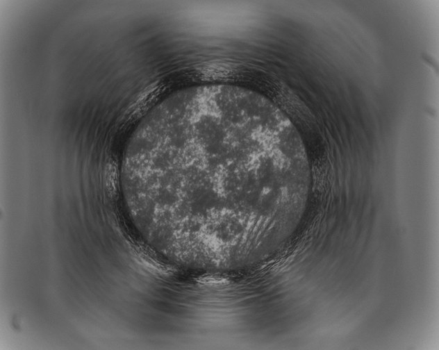 X0000096480648200802211215