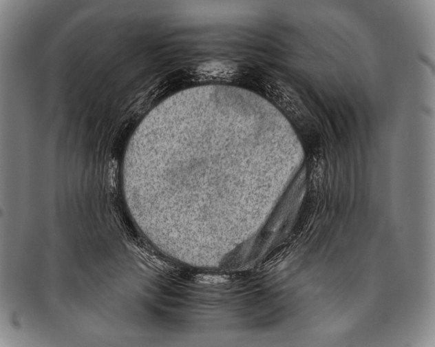 X0000096480649200802211215