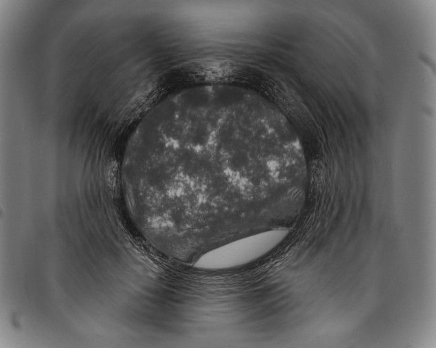 X0000096480650200802211215