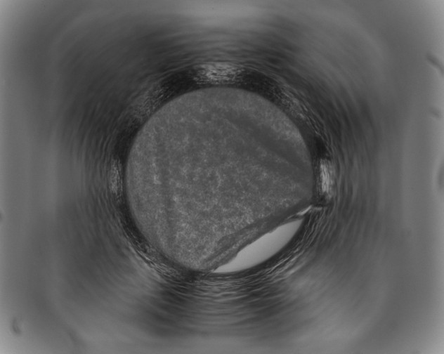 X0000096480651200802211215
