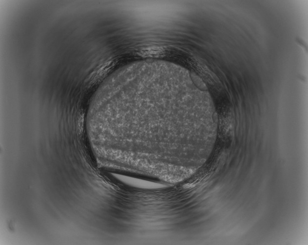 X0000096480652200802211215