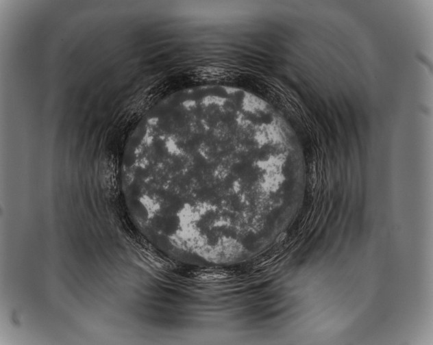X0000096480653200802211215
