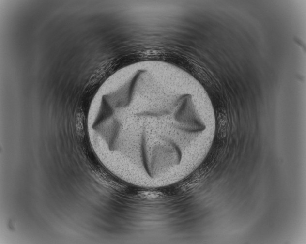 X0000096480654200802211215