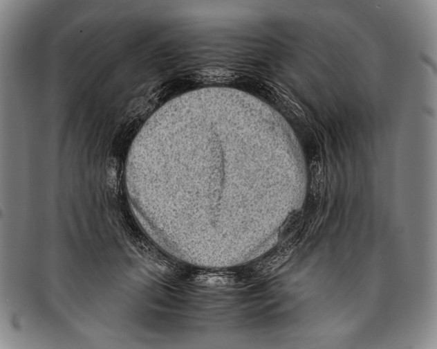 X0000096480655200802211215