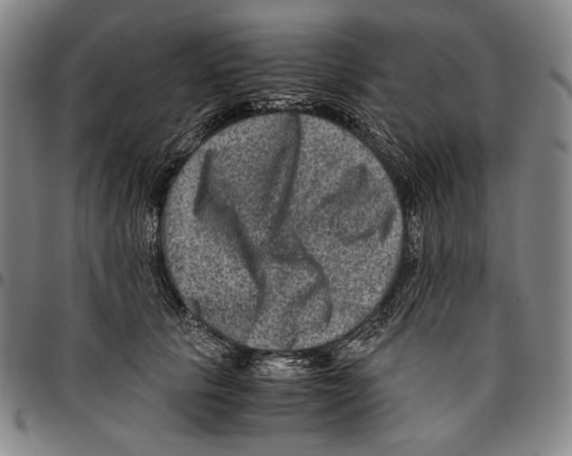 X0000096480657200802211215