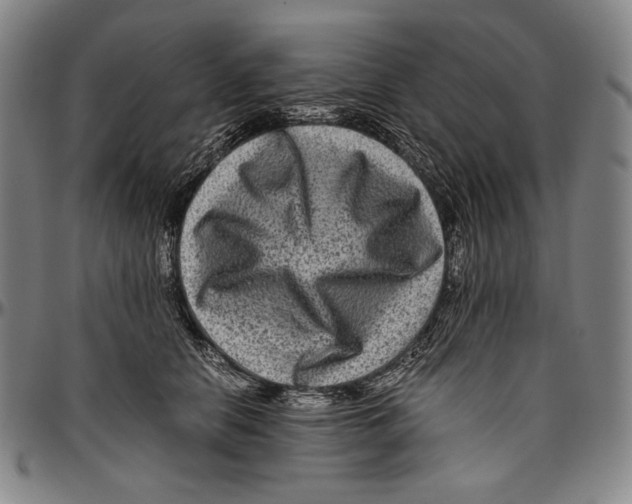 X0000096480658200802211215
