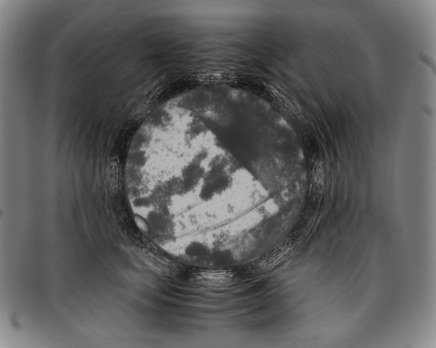 X0000096480659200802211215