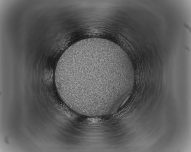 X0000096480660200802211215