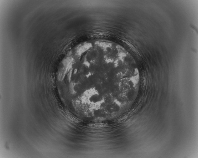 X0000096480661200802211215