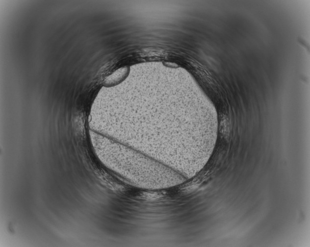 X0000096480662200802211215
