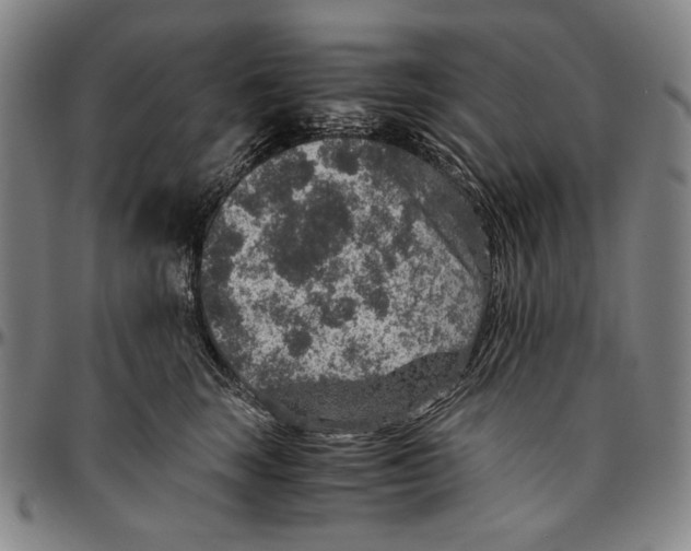X0000096480663200802211215
