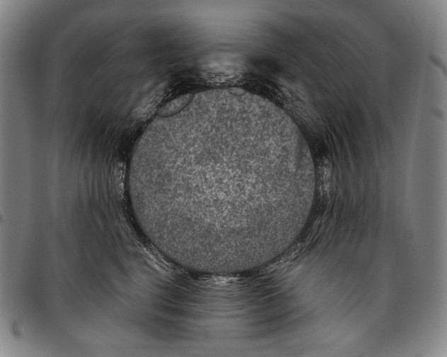 X0000096480664200802211215