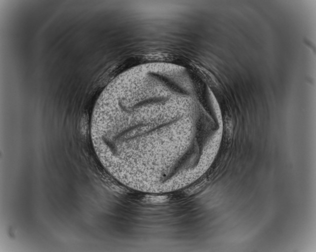 X0000096480665200802211215