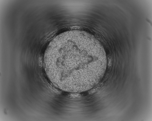 X0000096480666200802211215