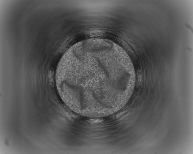 X0000096480667200802211215