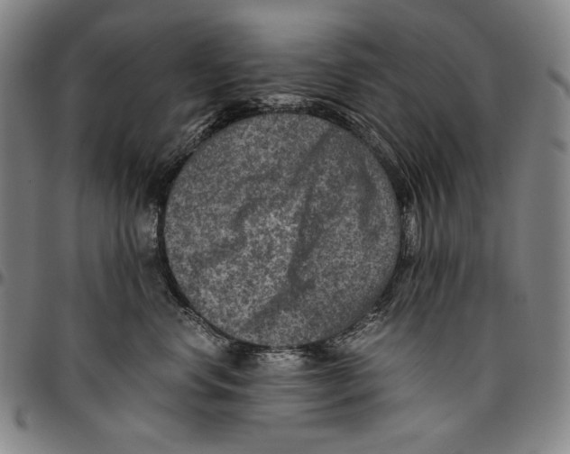 X0000096480668200802211215