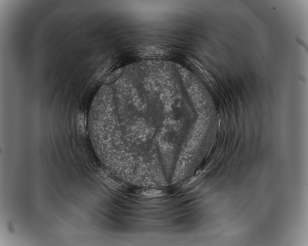 X0000096480669200802211215