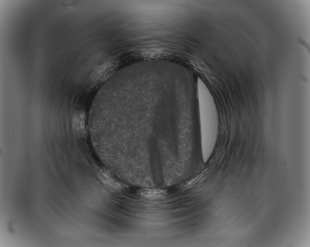 X0000096480670200802211215